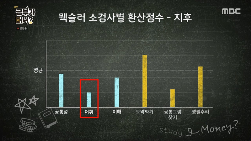 방송의 웩슬러 소검사 결과 — 어휘 항목을 함께 보세요